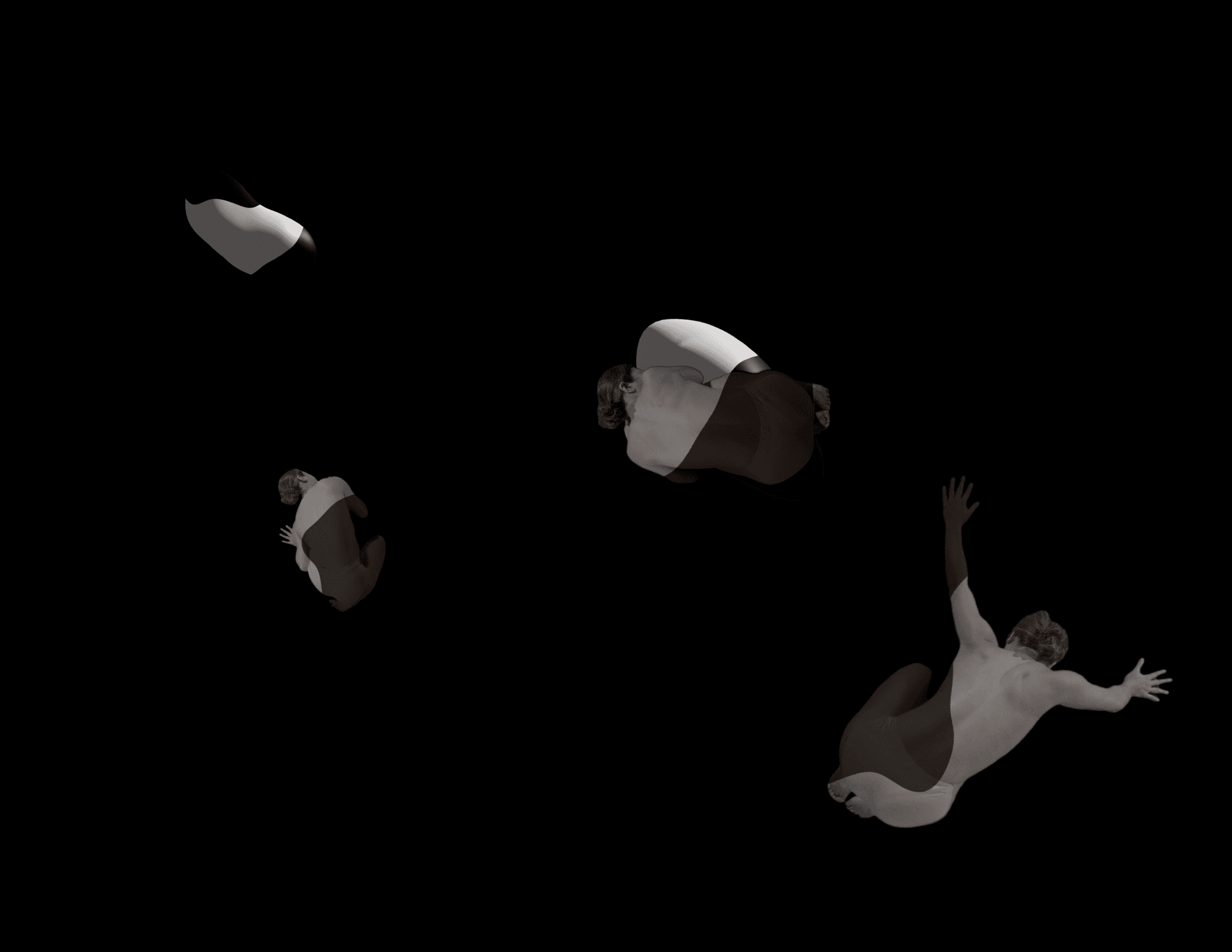 A CYBORG SEED