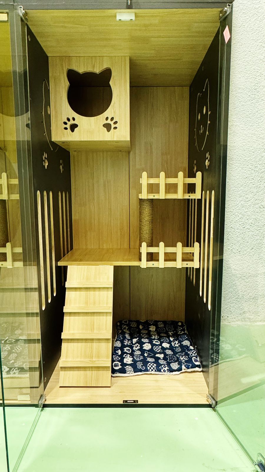 fun day at our cat hotel in Dubai