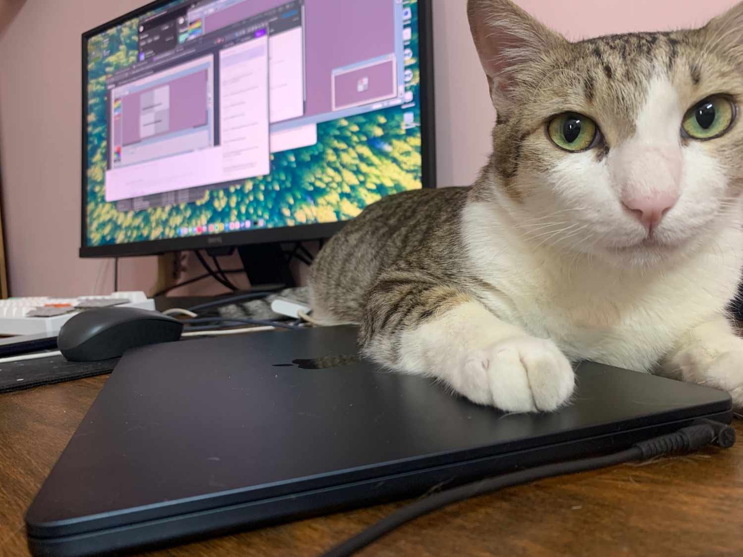 my workspace