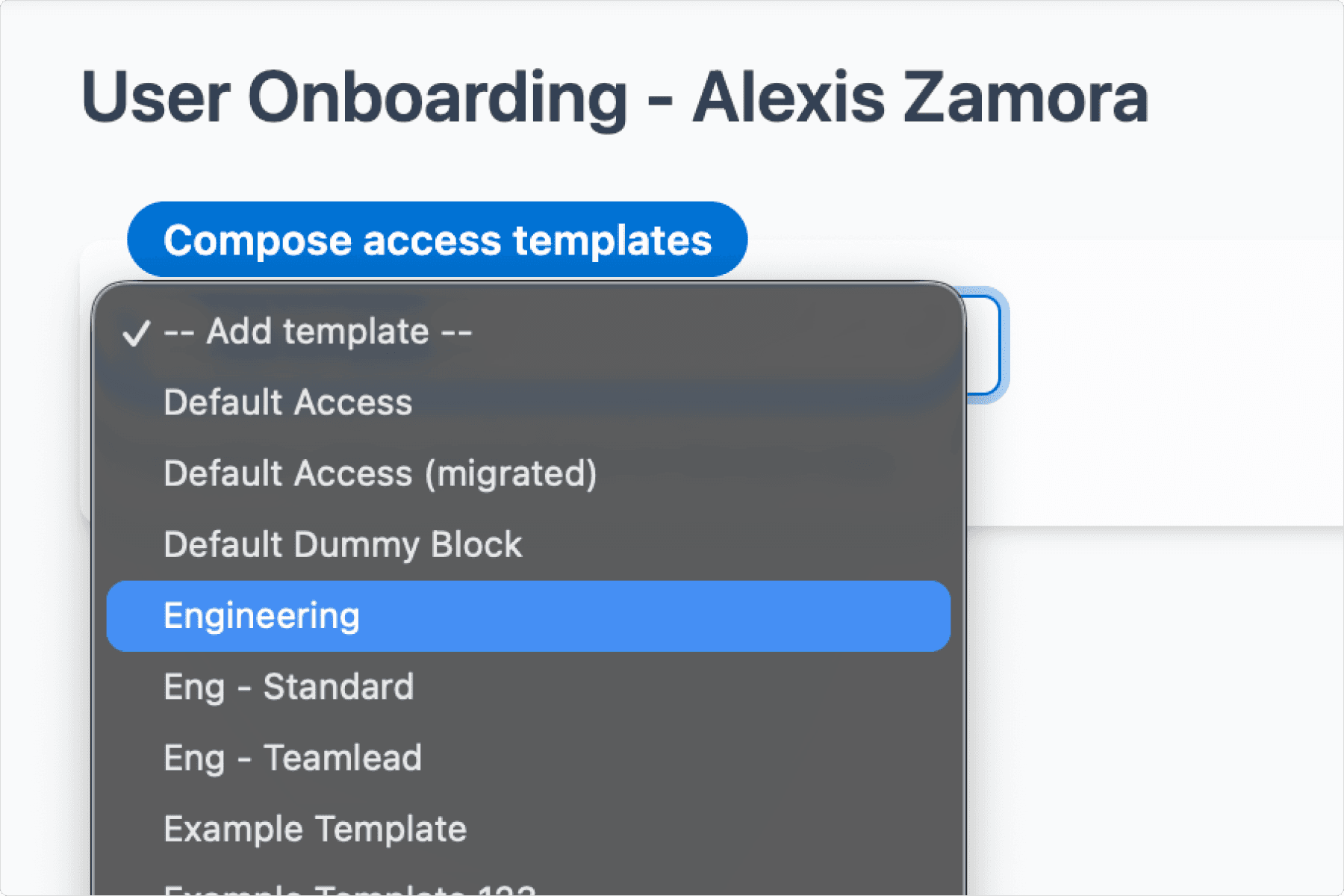 RBAC Template - AccessOwl Example Image.png
