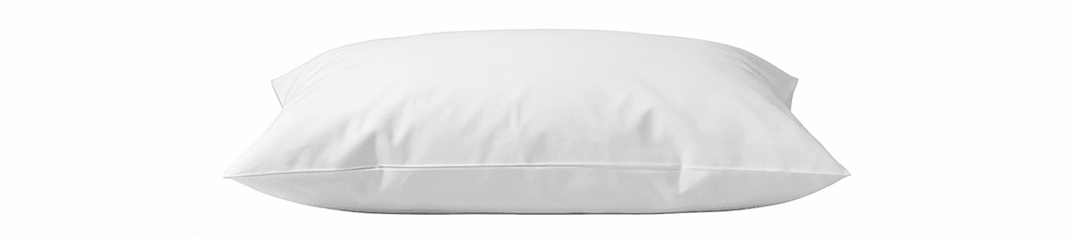 Burger Tomato and Onions