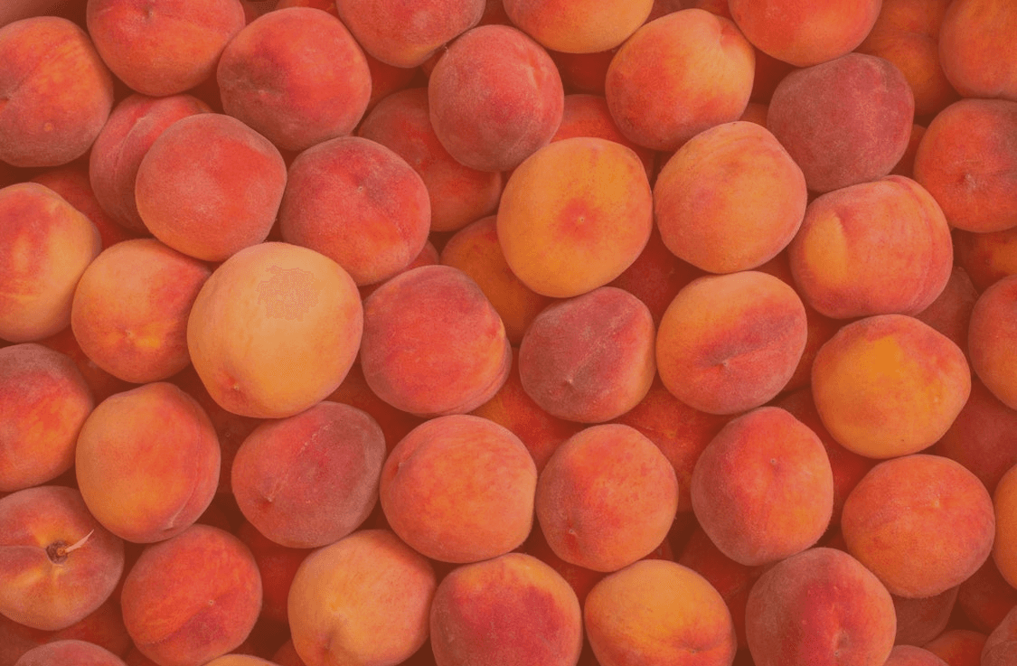 woman sitting while working on laptop and smiling 