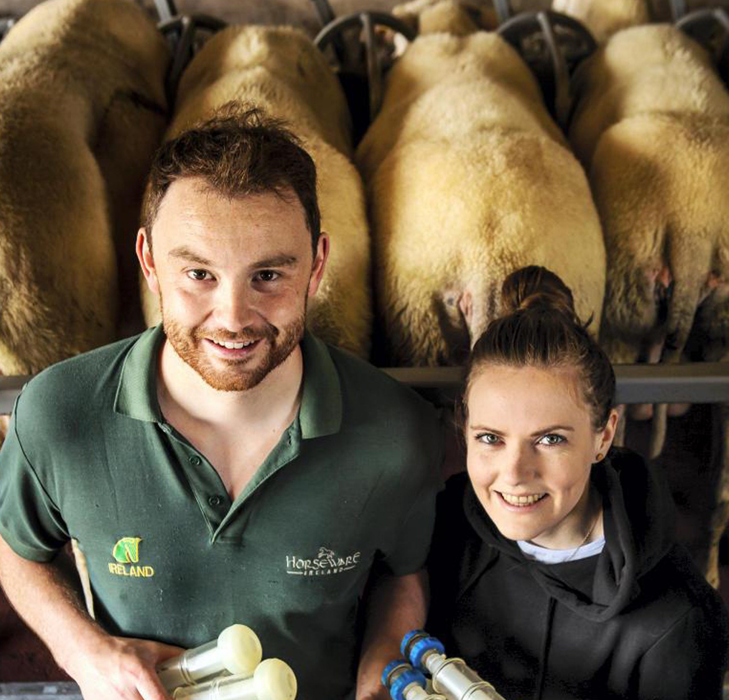 Sheep with the Owners from Ballyhubock Farm producing the best milk which is then getting supplied to As One Restaurant Dublin