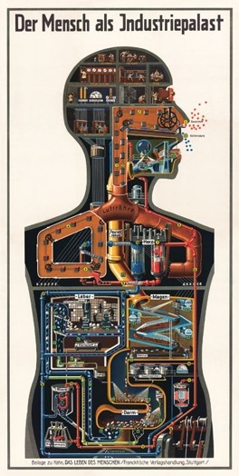 A poster with a human figure that has inside it different types of industrial aggregates, pipes, factory lines and processed products.