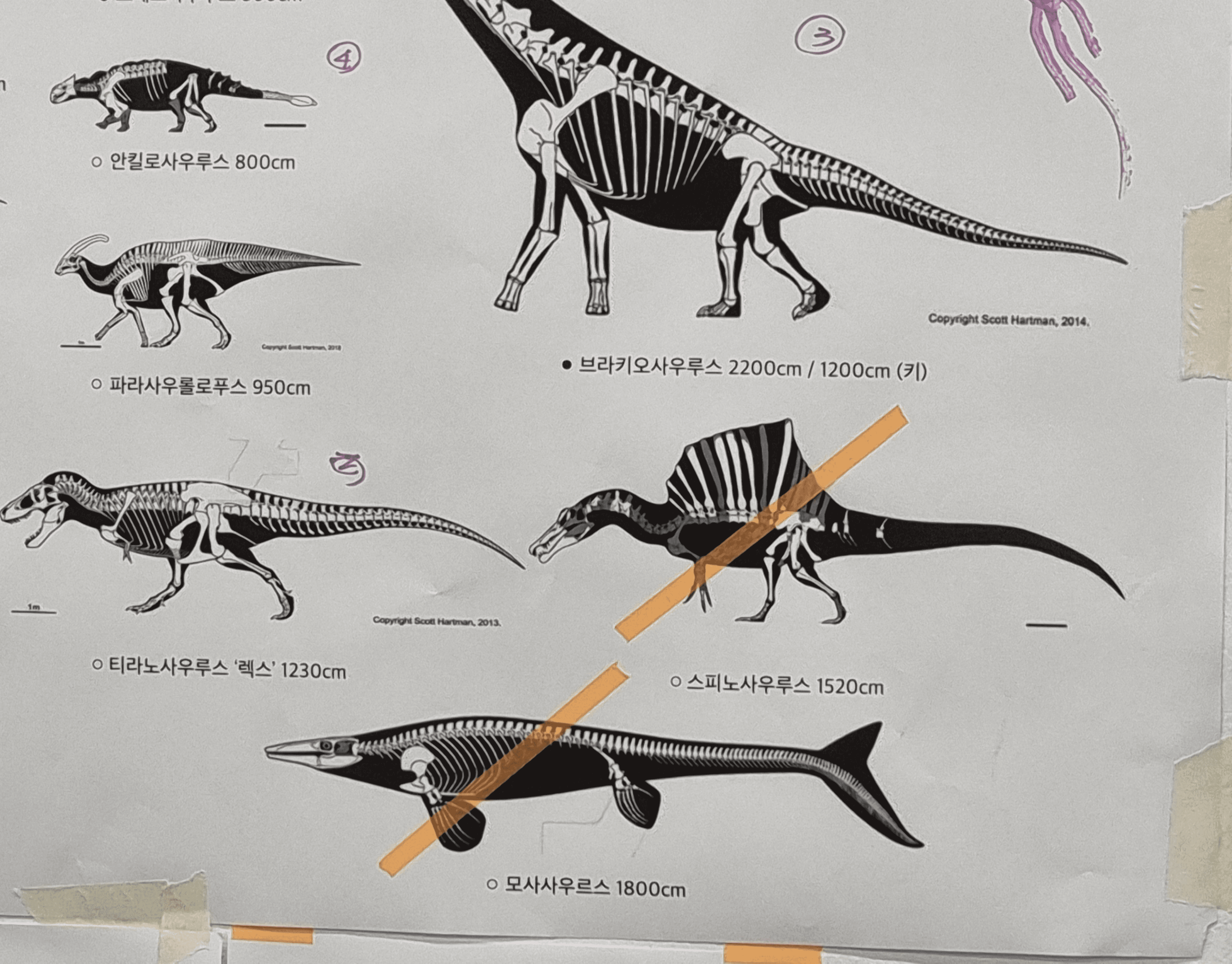 DIY - DINOSAUR 4