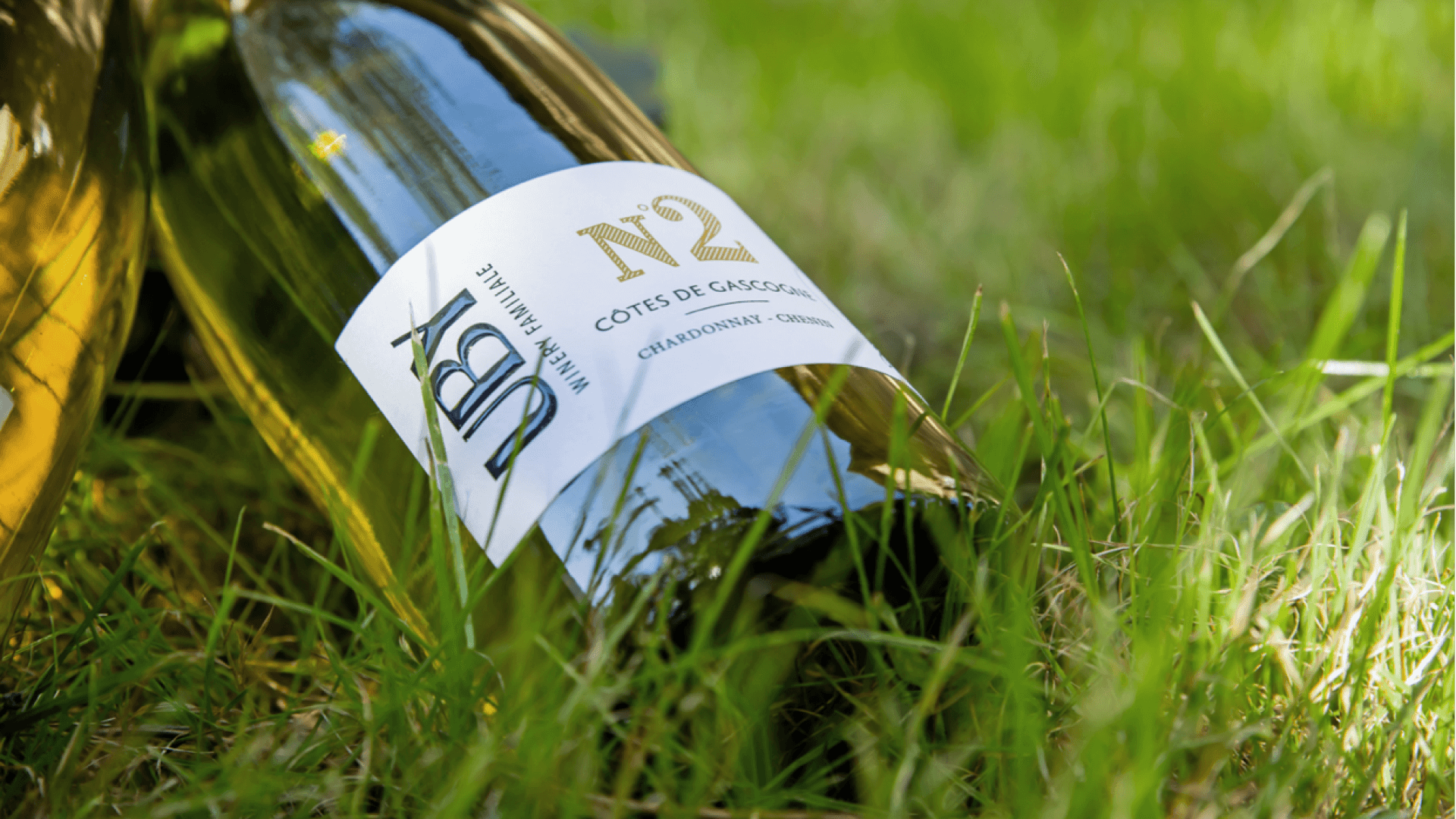 picture of a wine bottle