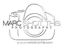 marc-shot-this-photography-logo