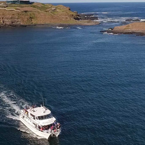 A boat filled with people sails on blue water near a rugged coastline with grassy hills and distant rocky formations.