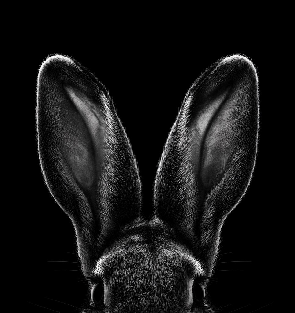 Portfolio radova na različitim podlogama – digitalna štampa na papiru, foliji i tekstilu.