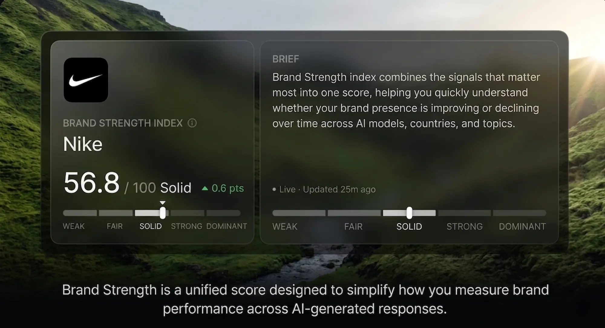 Brand Strength Index