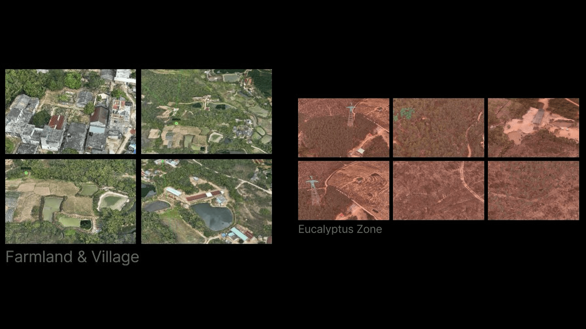 Irene Webflow template project image