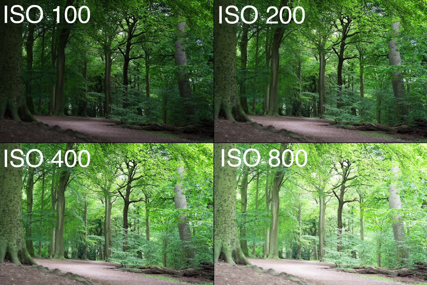 4 different iso settings