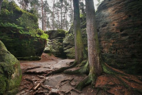 catergory-backgrounds