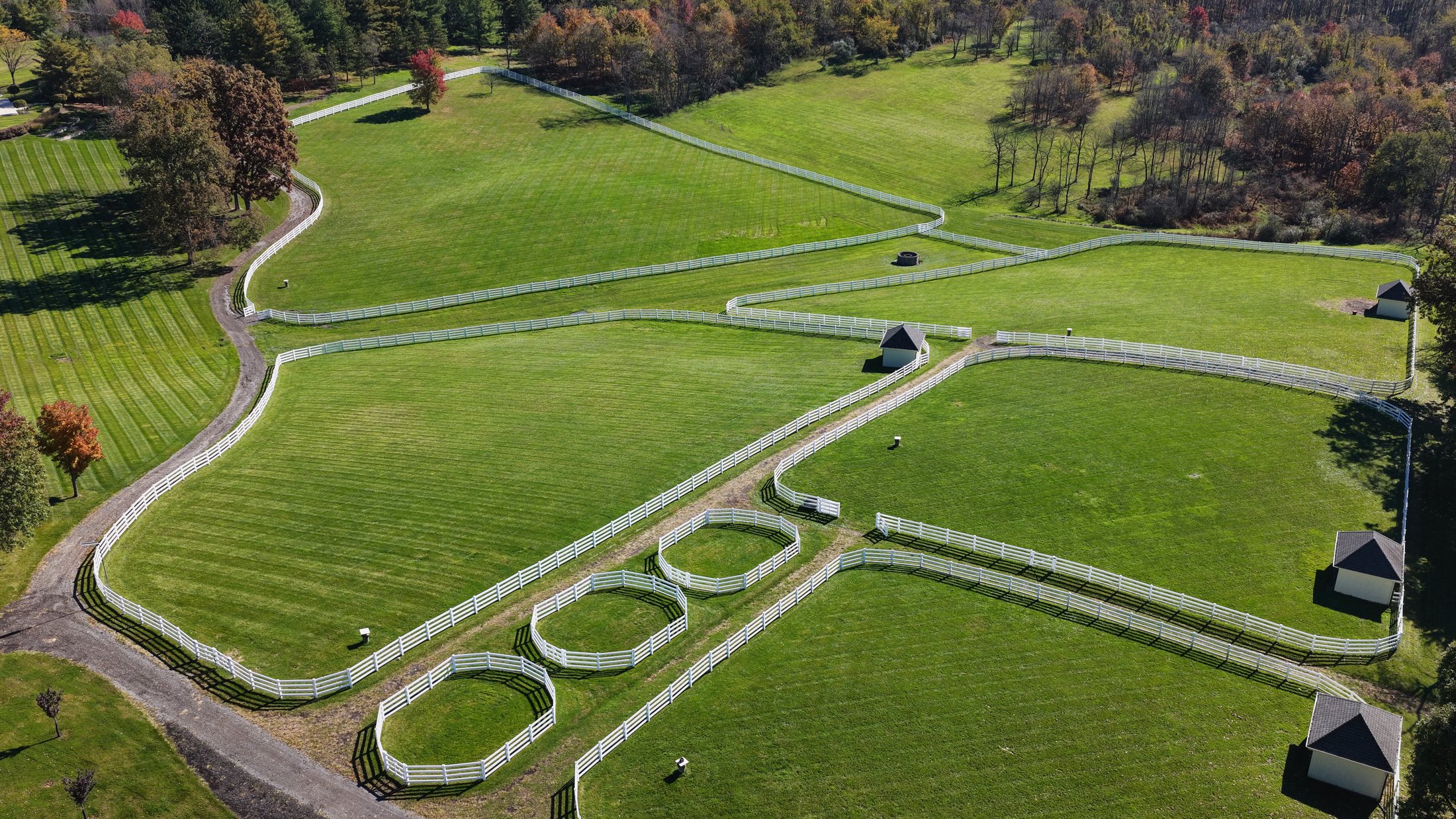 Fenced paddocks across the estate grounds