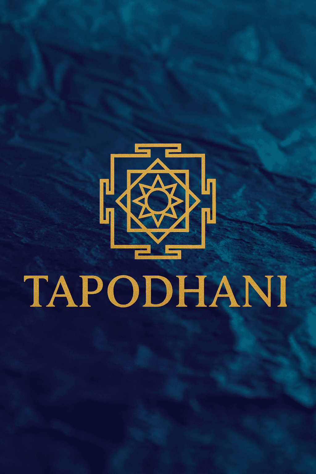 Close-up of evergreen foliage, showcasing vibrant green needles densely packed together.