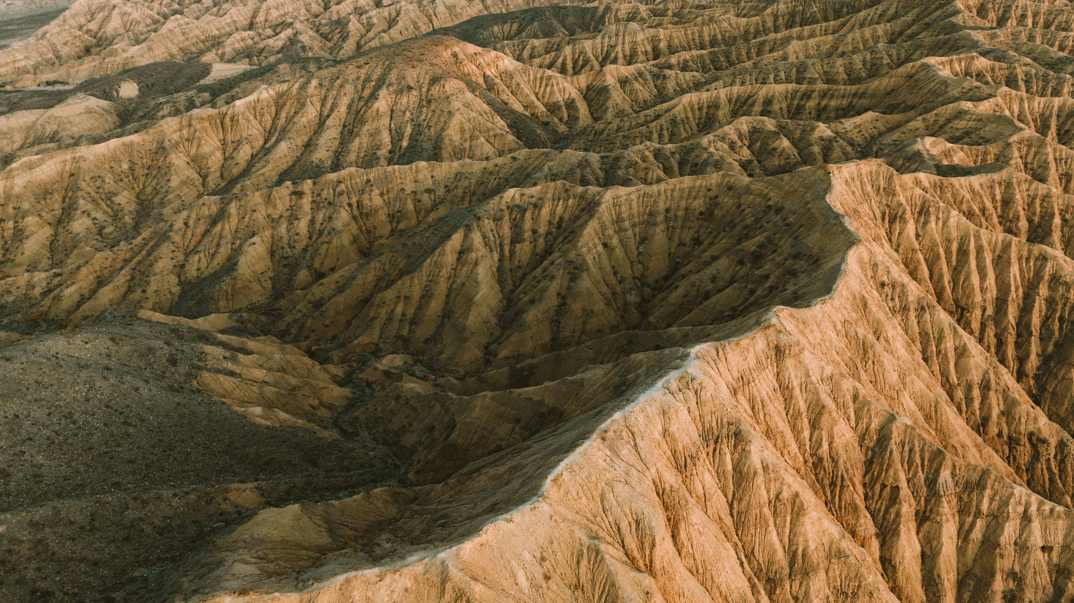 international exhibit services, exhibit program management, custom exhibit design services