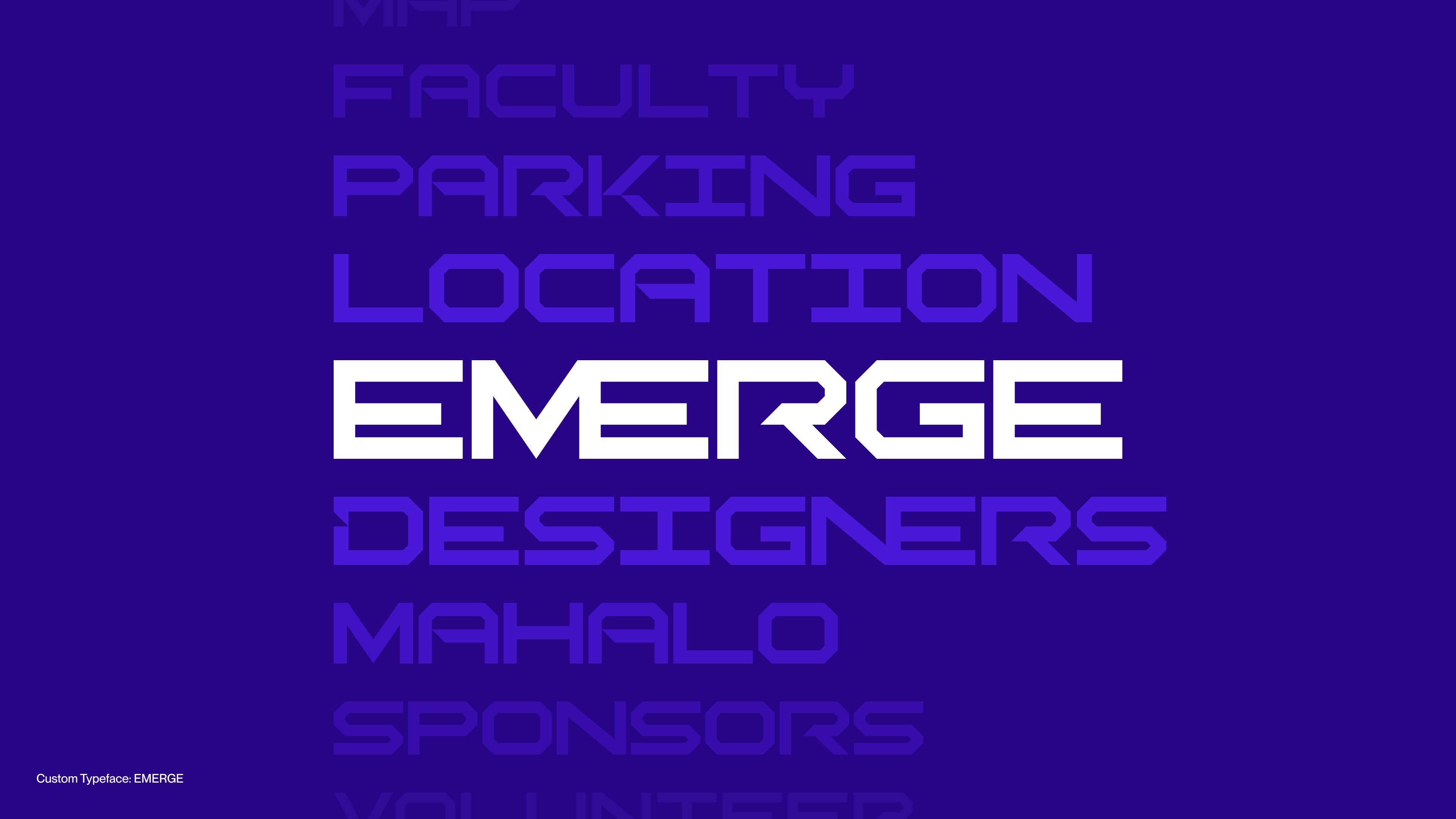 EMERGE BFA Showcase image 2