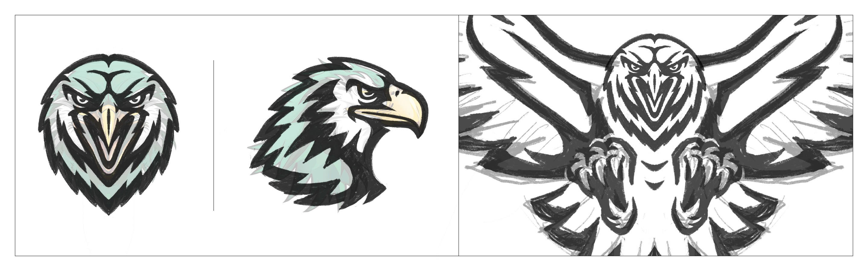 Lakehawks Athletics logo sketches.