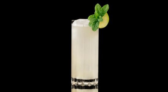 A closeup of a Sour, Summer Vodka Mojito drink against a dark background.