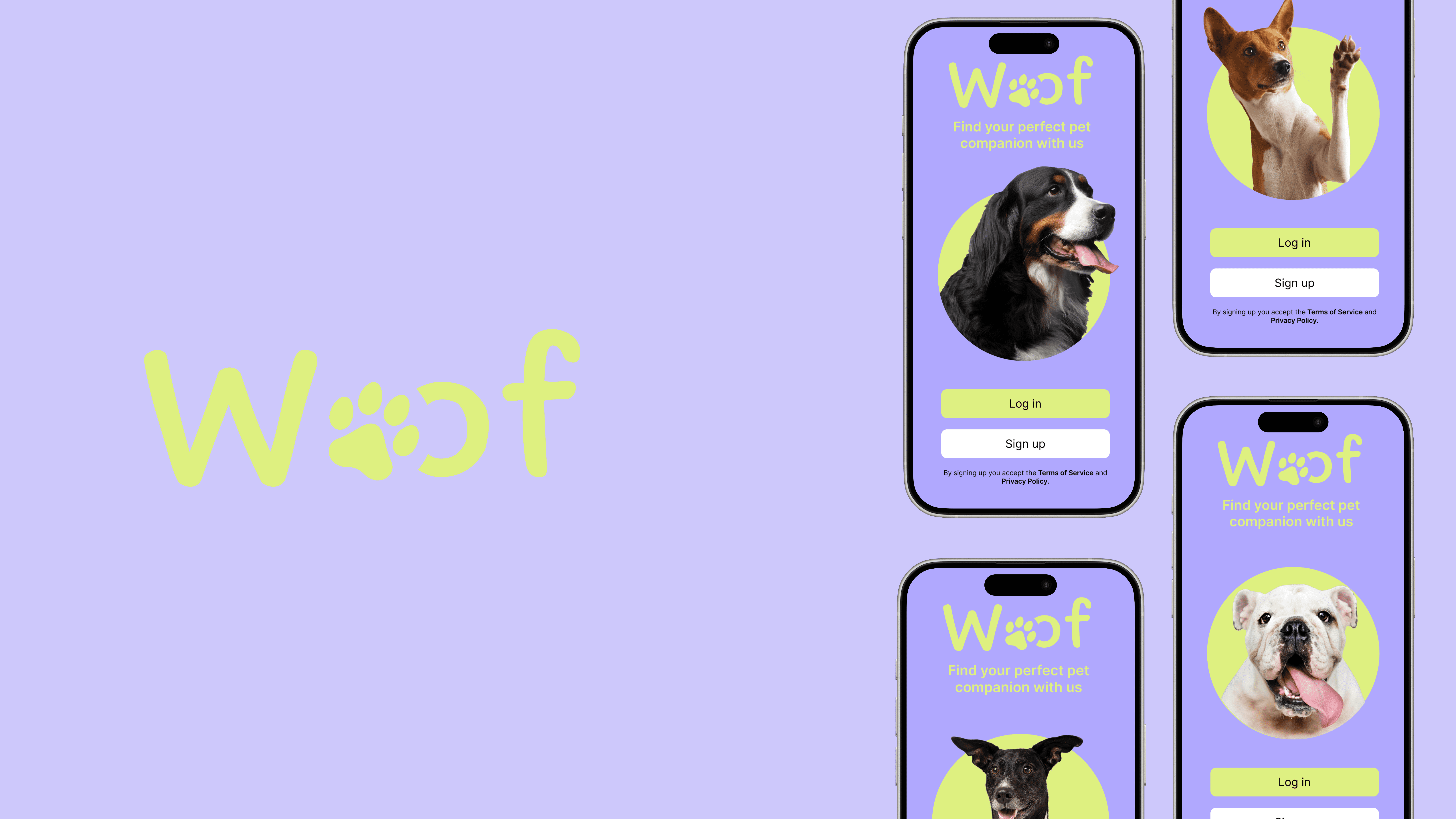 Sign up screen