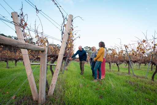 tour group taking a deep detailed look at the vines at Ashbrook Estate
