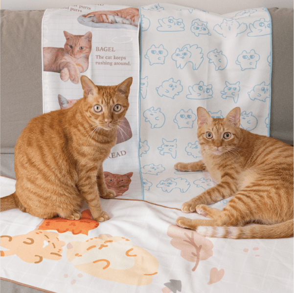 Close-up of lush, dark green leaves, some glossy and wet, against a muted background.