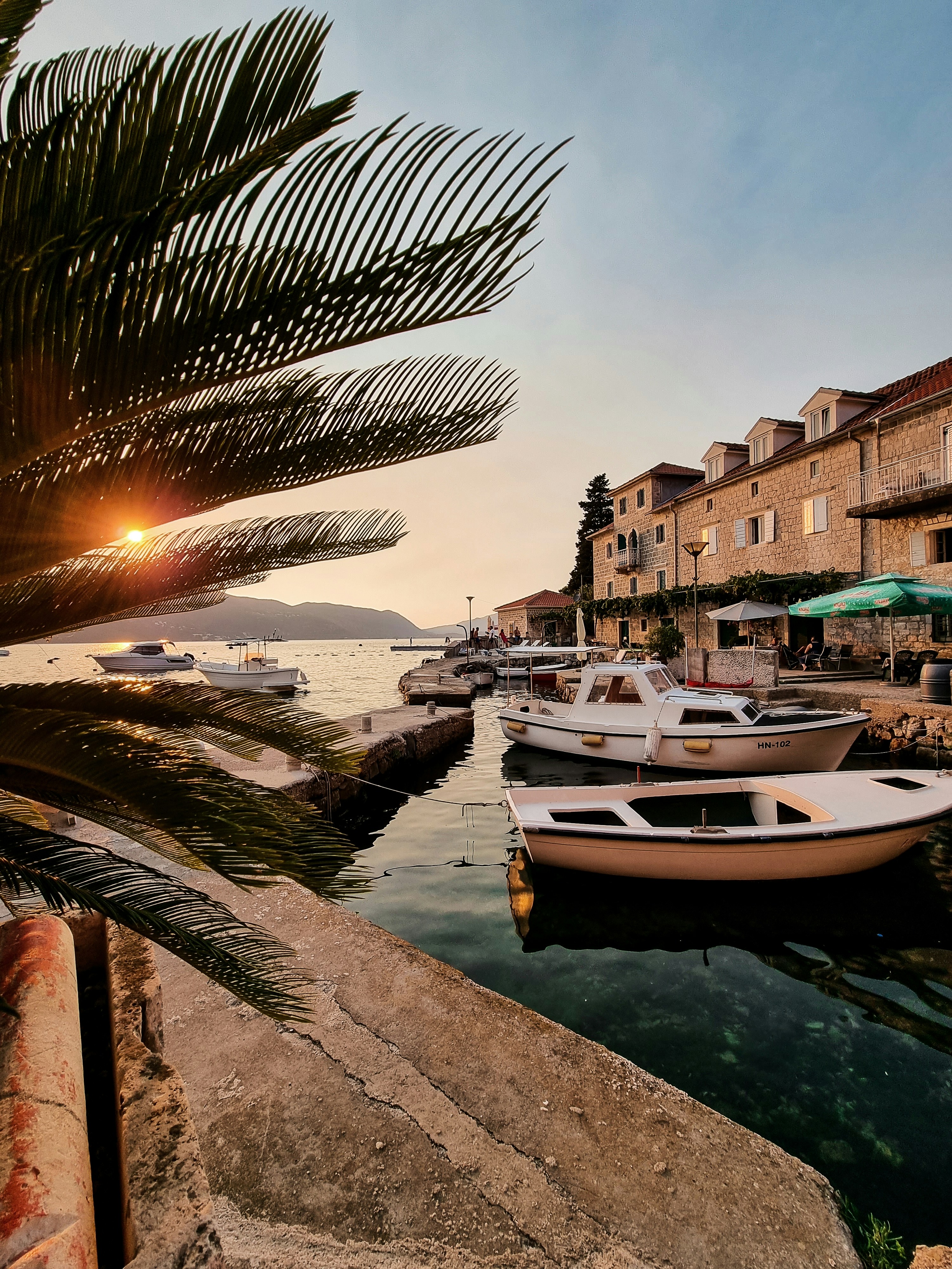 white and brown boat on dock during daytime
