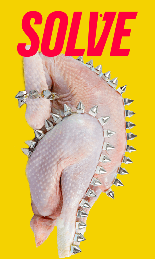 Card 8