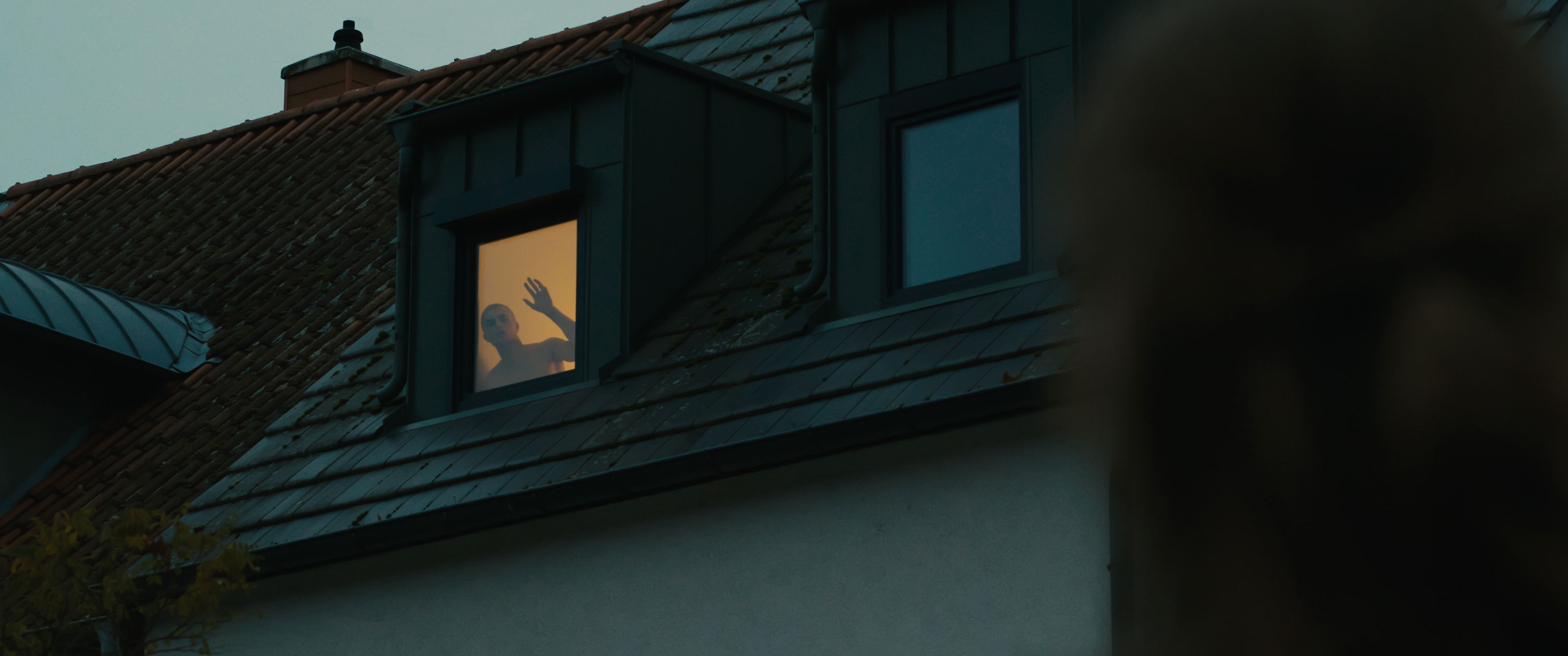 a man looks out of a window