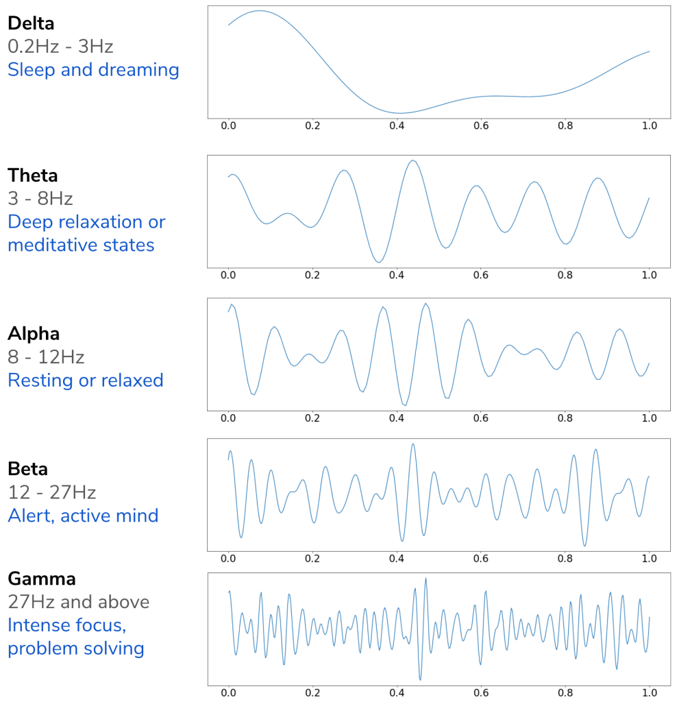 Brain waves in typical EEG.