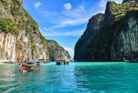 A person kneads fresh dough on a wooden kitchen counter dusted with flour, with pottery and a plant visible in the background, evoking a rustic baking atmosphere.