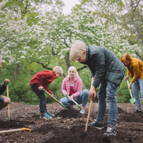 Skansen: Szabadtéri Múzeum és Északi Állatkert jegyek Stockholm