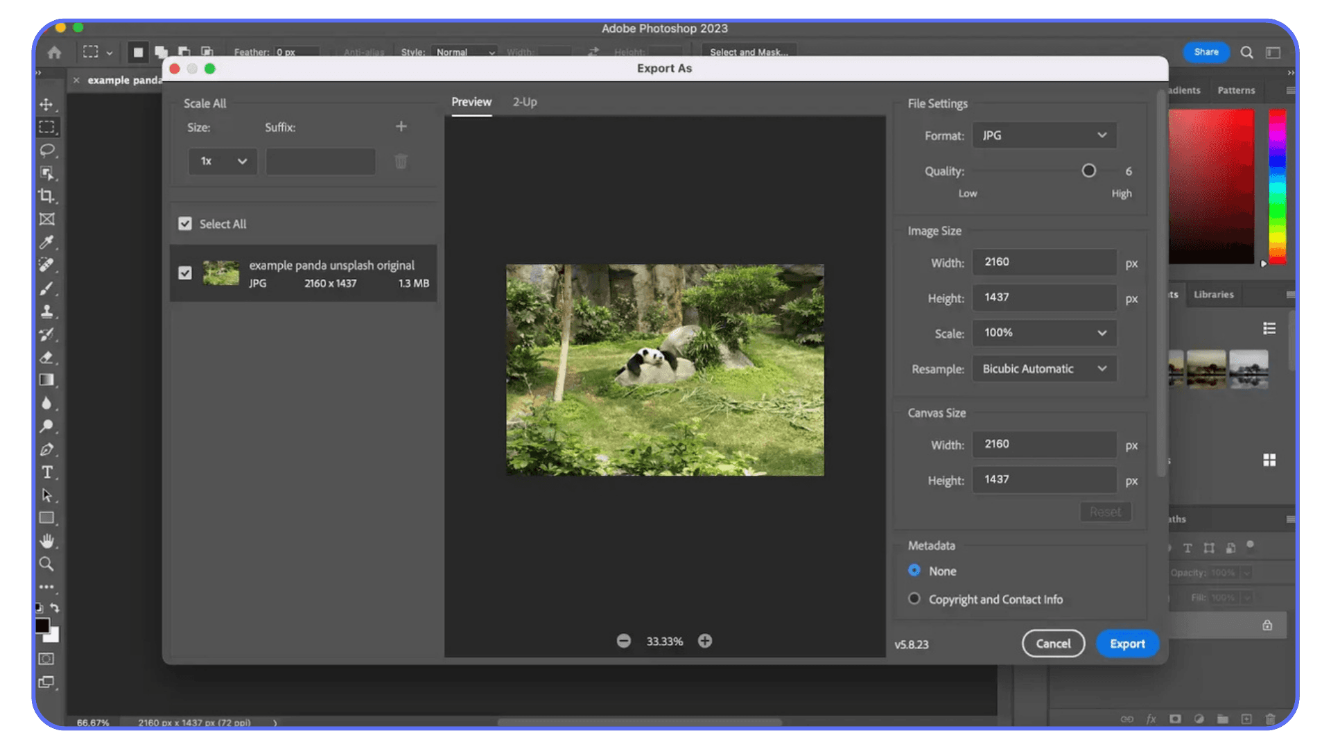 Adobe Photoshop Export As dialog open with a panda photo selected, showing JPEG format, image dimensions, and quality slider for web export.