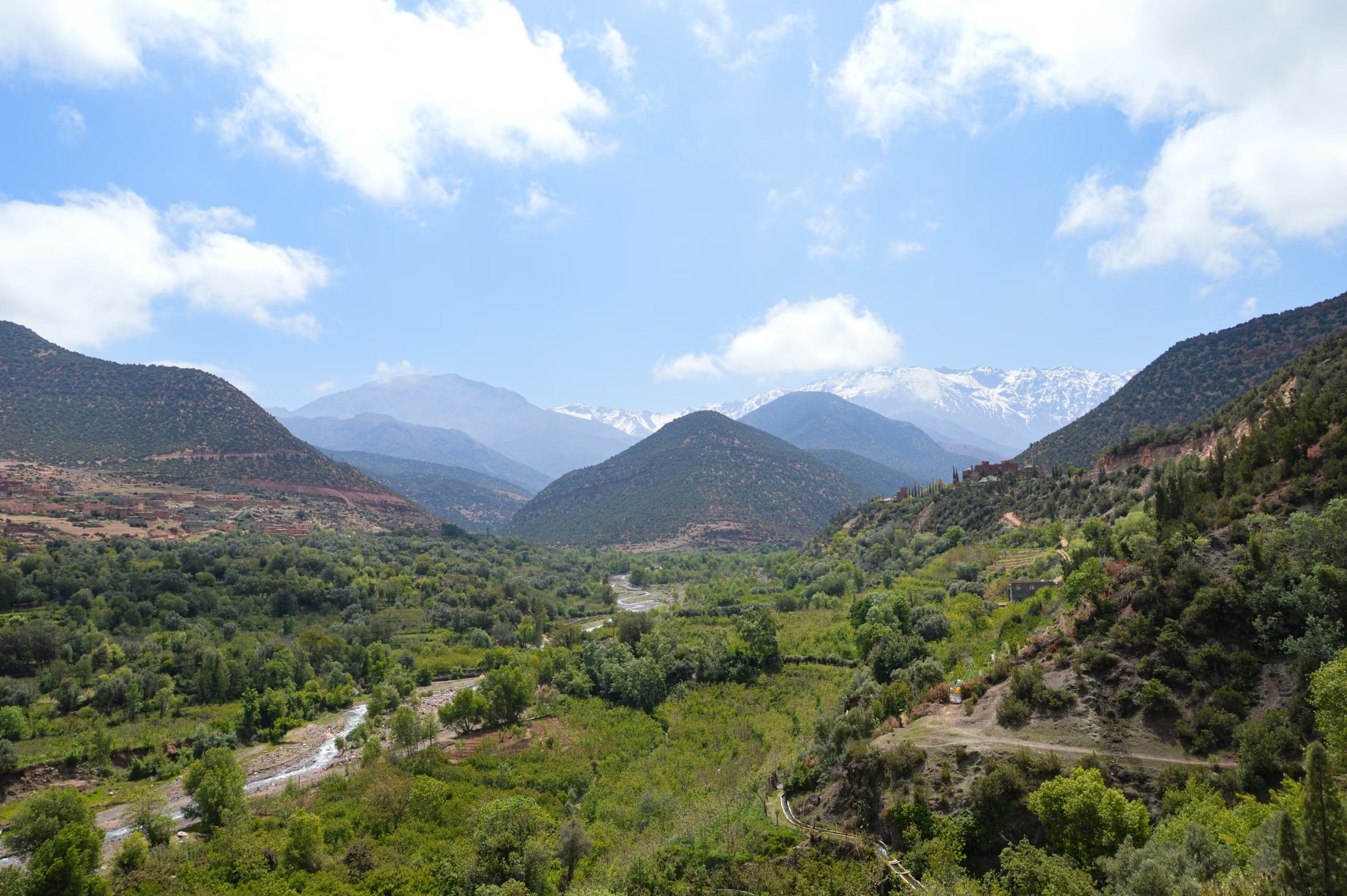 Palm trees frame a dramatic mountain valley landscape
