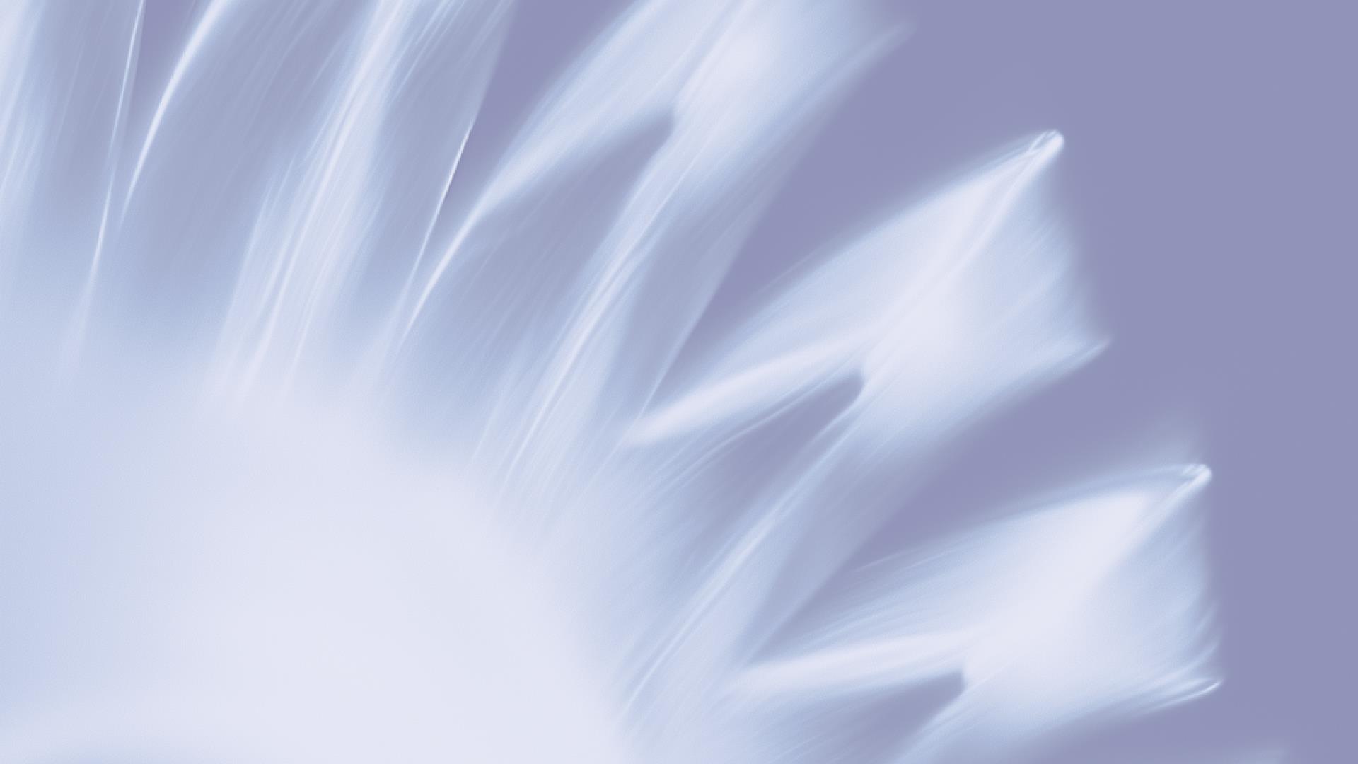Abstract image of soft, white feather-like streaks radiating from the bottom left, set against a muted lavender background, creating a serene, calming effect.