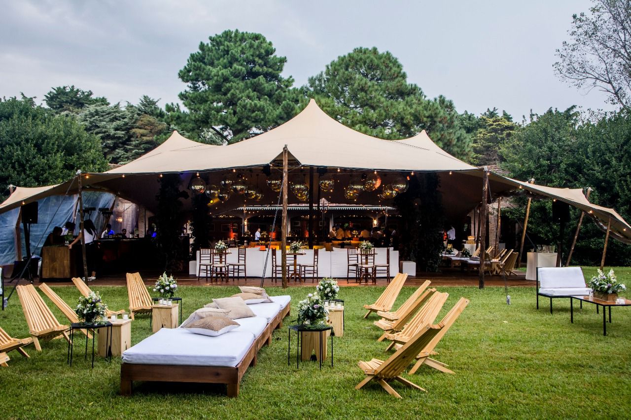 Close-up of a tree stump showing growth rings and a textured brown wood surface.