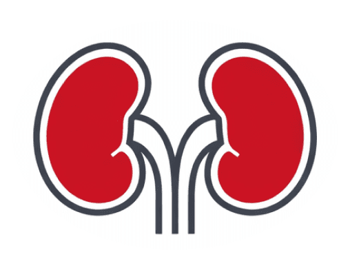 Já convive com a doença renal crônica