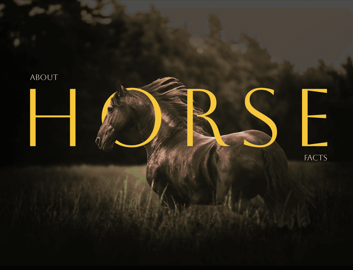 Ui/UX Design Mockup Image