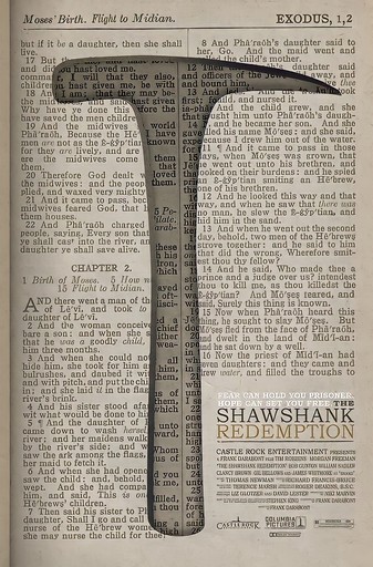 The shawshank redemption poster art