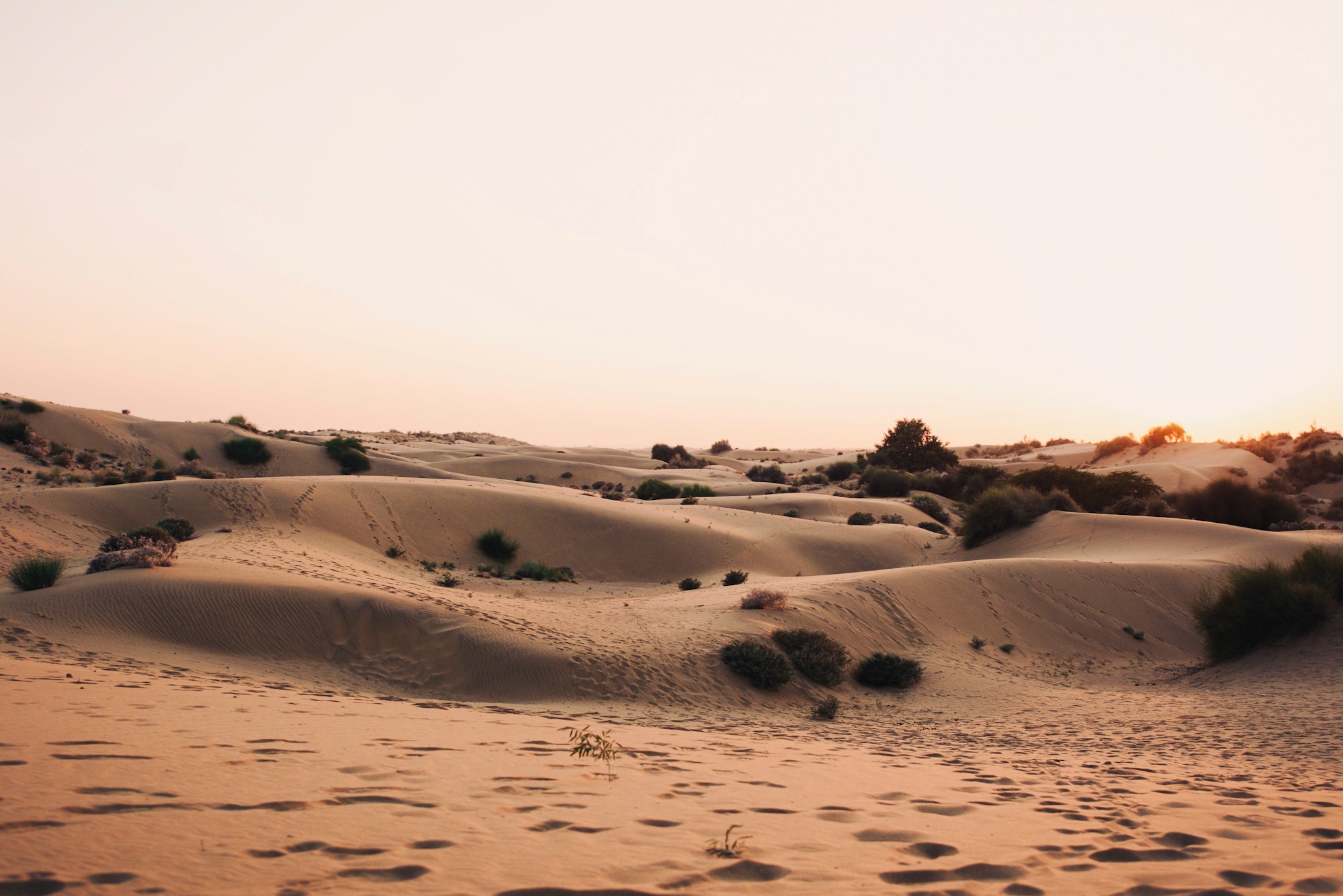 Vast horizon of the Thar desert