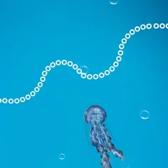 Une photo Instagram de Swatch