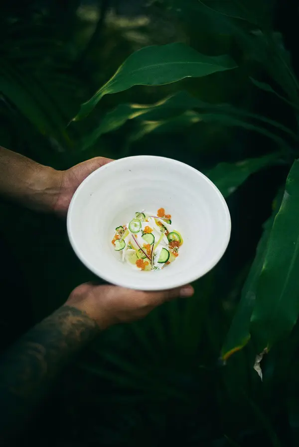 Platillo colorido con ingredientes como pepino, queso y chile, sostenido por manos masculinas en el restaurante Ocumare, Be Tulum, con la naturaleza selvática en el fondo.