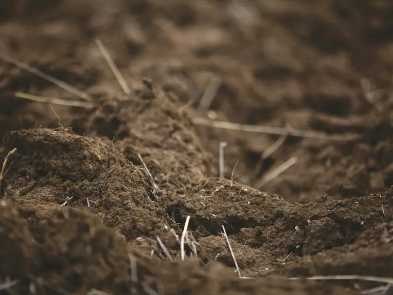 agricultural service waynesville