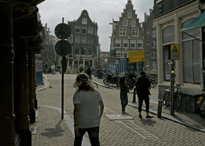 Discover Amsterdam’s best walking tours: A complete guide