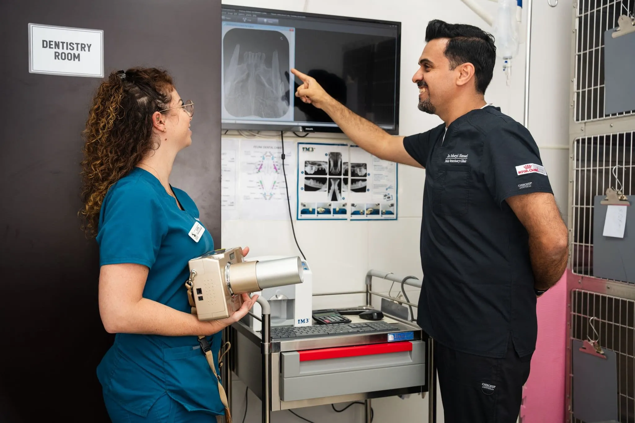 Two veterinarians are diagnosing a pet's condition through diagnostic imaging.
