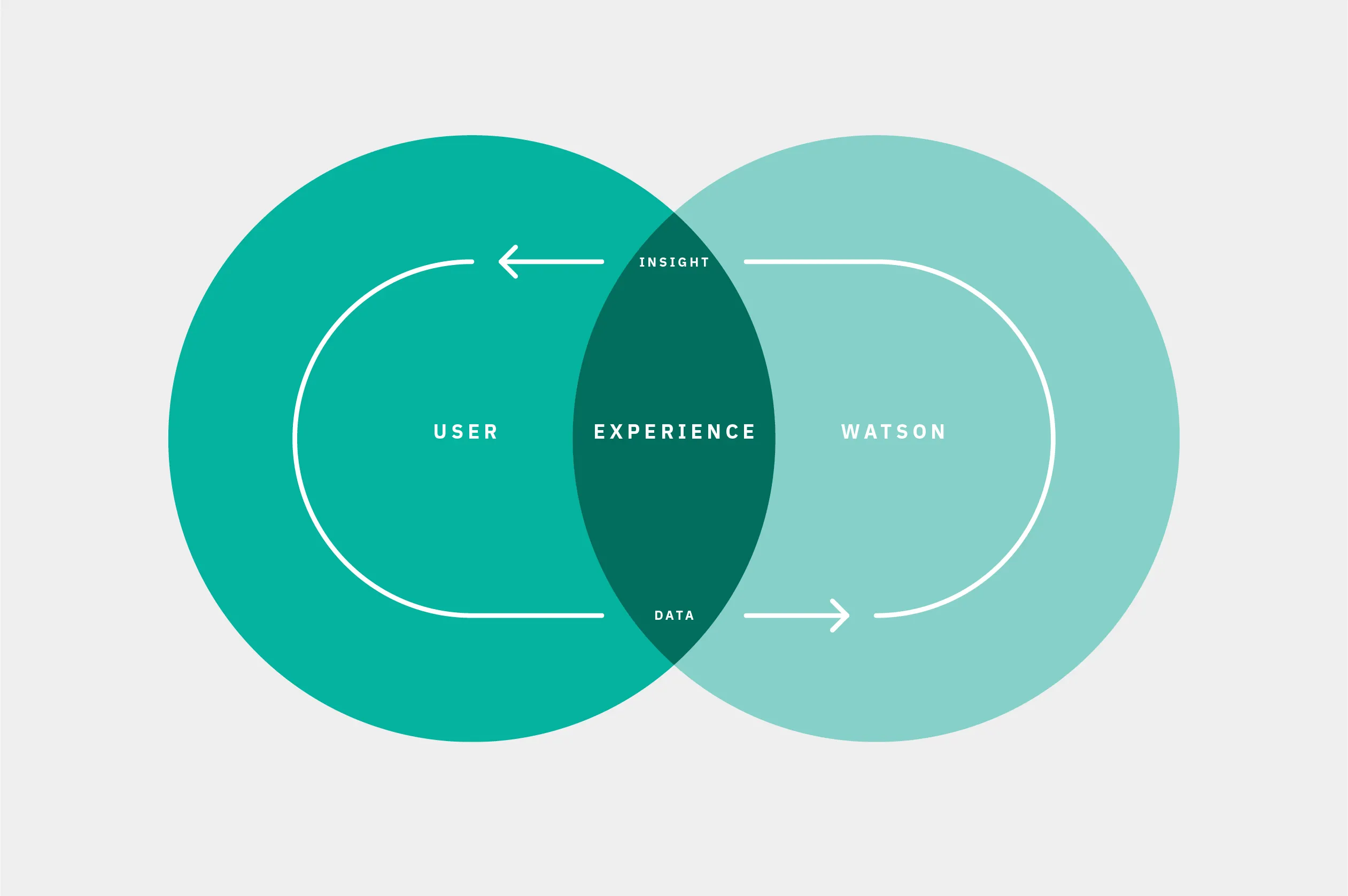 A teal and turquoise Venn diagram illustrates the intersection of "User" and "Watson" with "Experience" in the overlapping area, featuring arrows labeled "Insight" and "Data" to emphasize the design concept. Rob Harrigan Design. Rob Harrigan. 