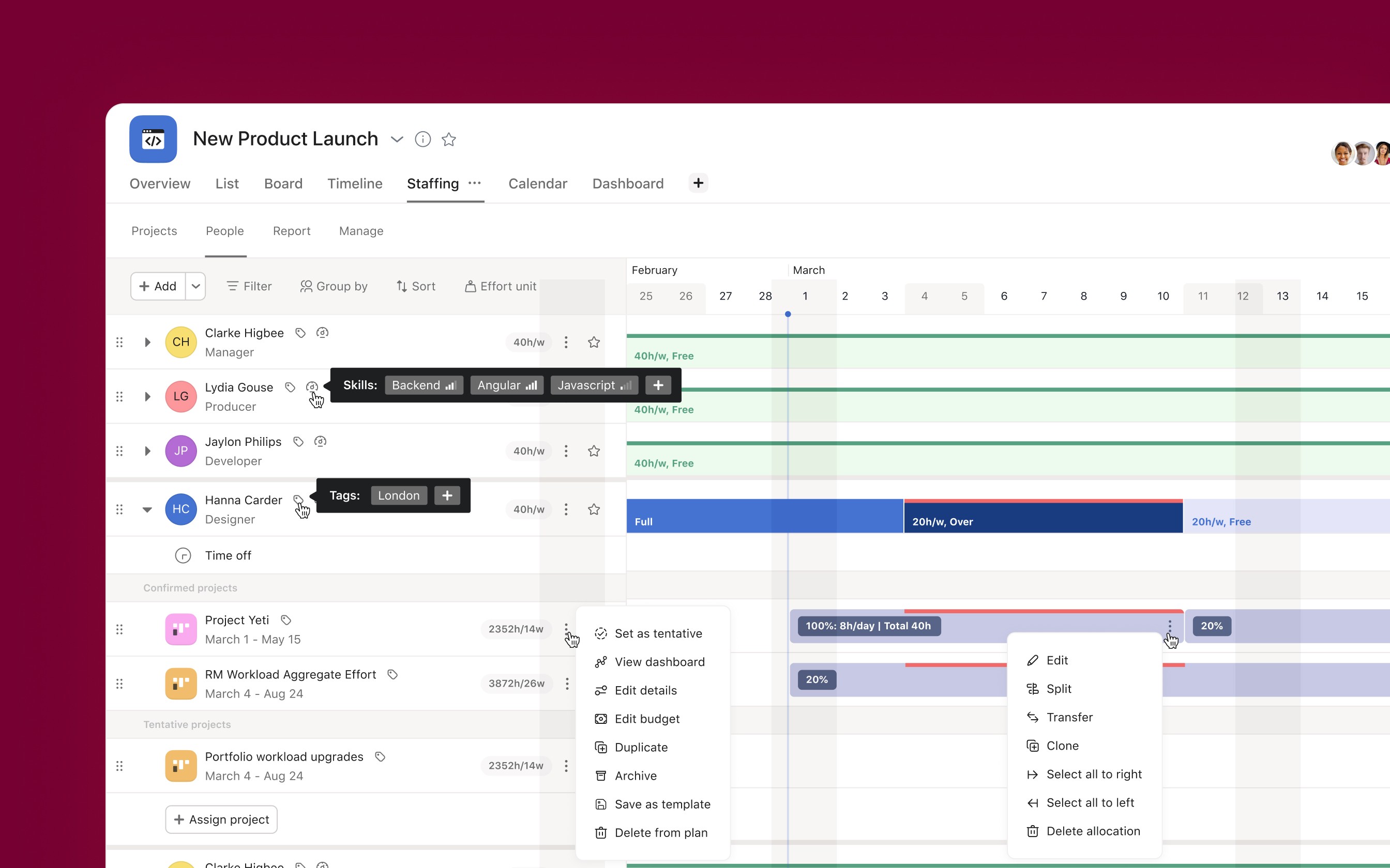 Asana-resource-management 