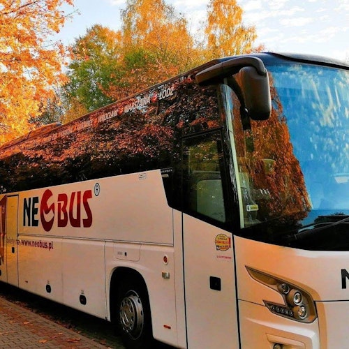 Autobuze Neobus