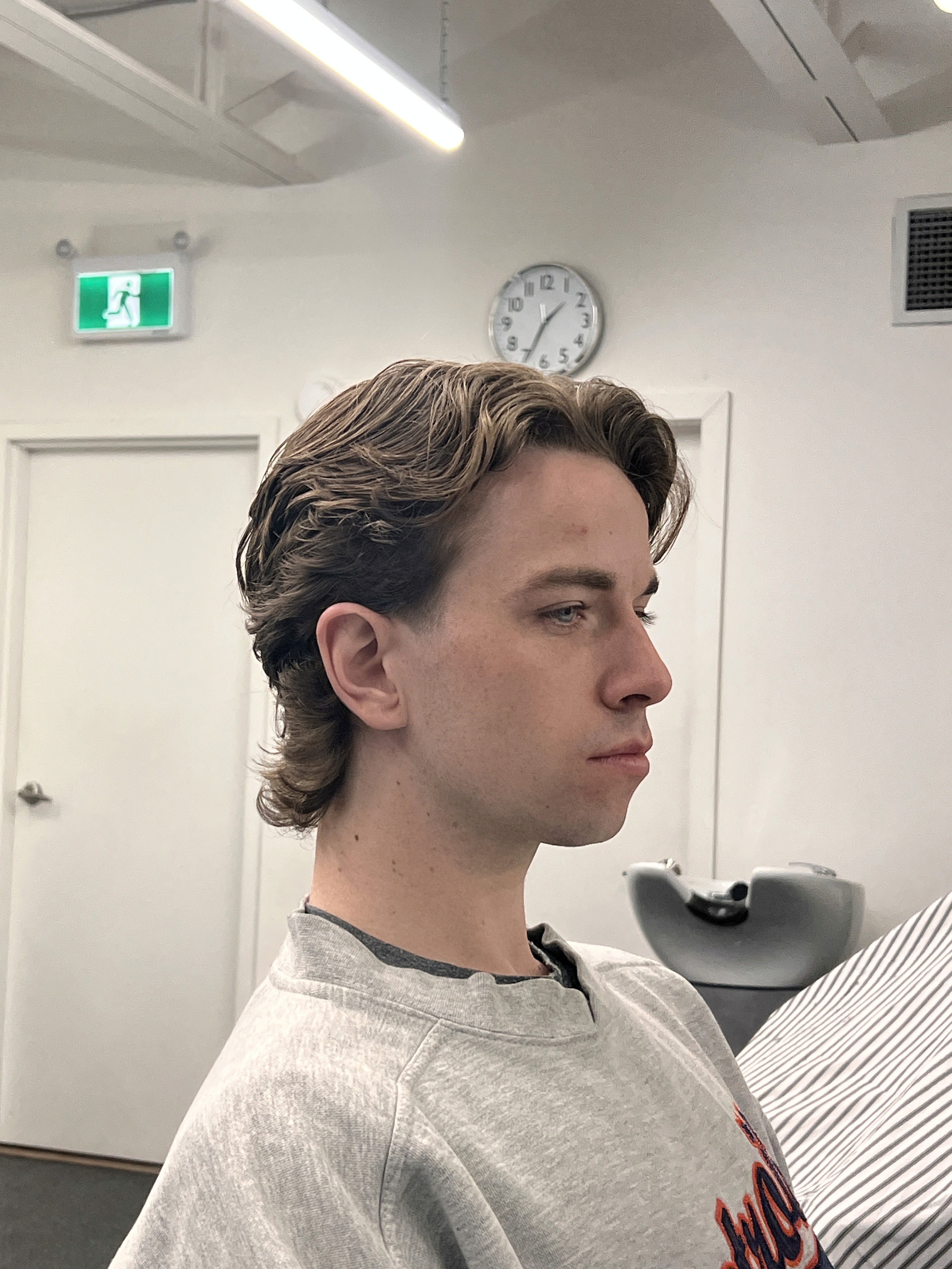 two brown and white dogs running dirt road during daytime