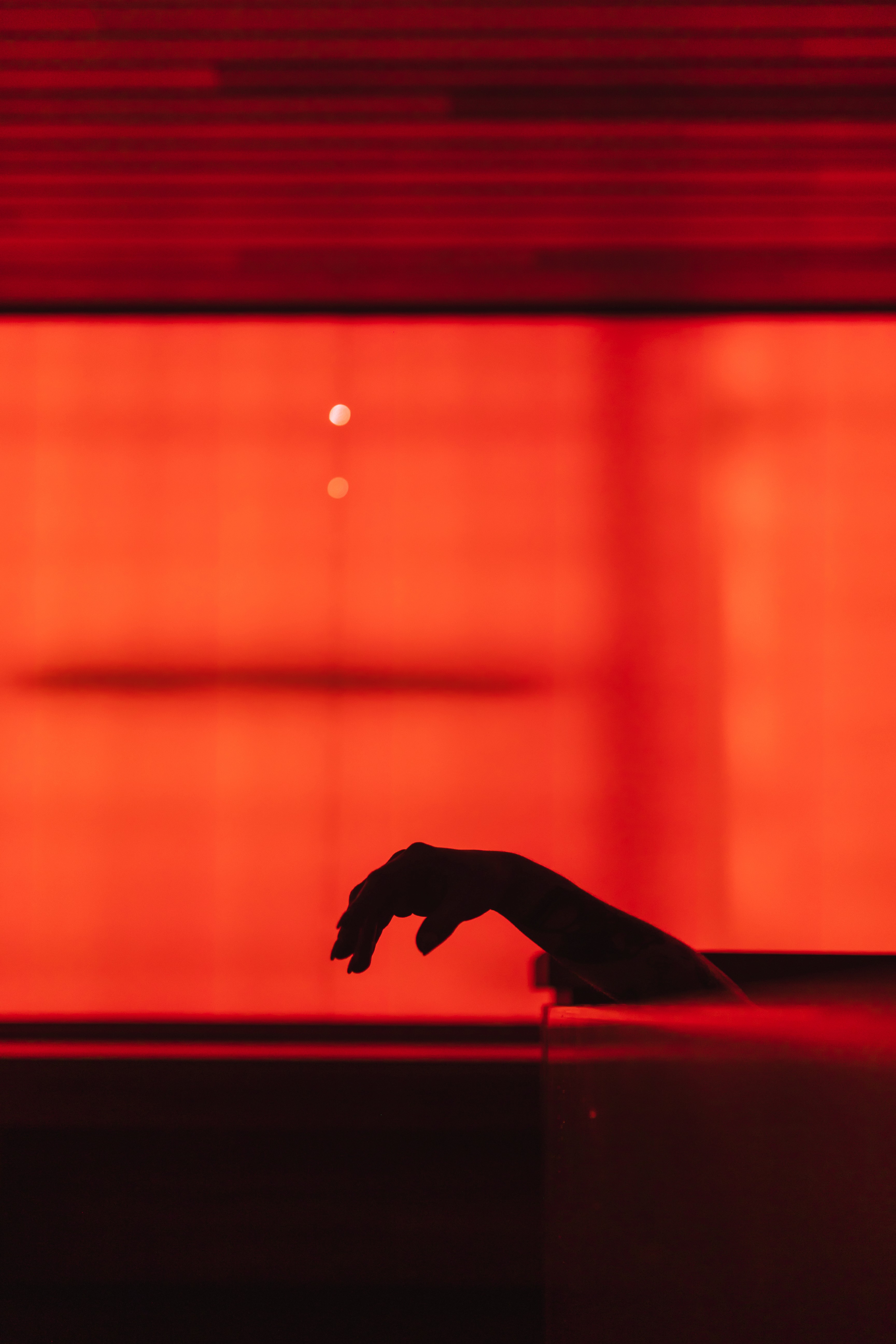 Man in motion during a yoga session in a light-filled modern room with large windows, wood floors, greenery visible outside
